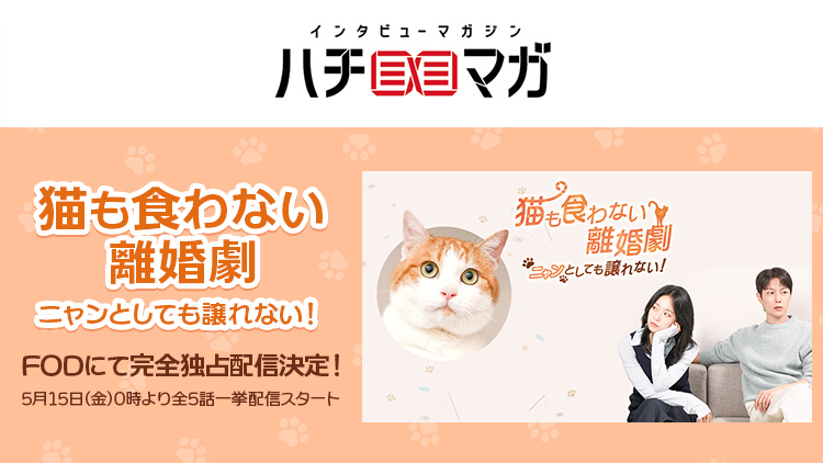 ハチマガ 猫も食わない離婚劇